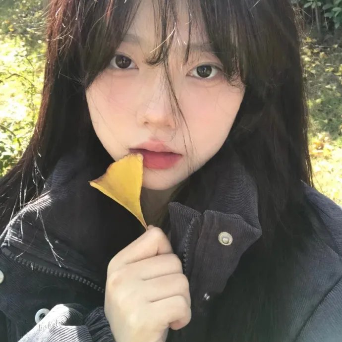 鸟的歌唱